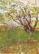 Vincent Van Gogh Cherry Tree oil on canvas